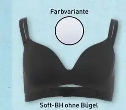 Aldi Nord Up2Fashion Damen BH Angebot