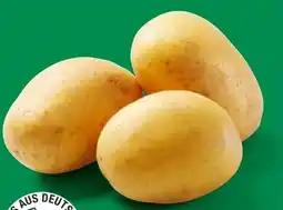 Lidl Bio-Speisekartoffeln Angebot