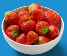 Lidl Erdbeeren Angebot