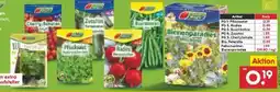 Netto Marken-Discount Garten Magie Sämereien Angebot