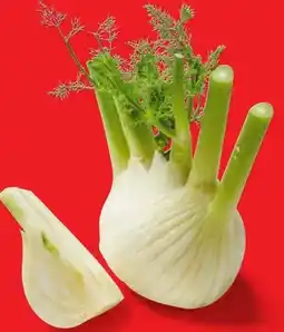 Lidl Fenchel Angebot
