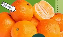 PENNY Naturgut Bio-Mandarinen Angebot
