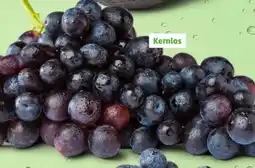 PENNY Tafeltrauben Angebot