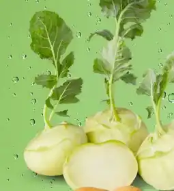 PENNY Marktliebe Kohlrabi Angebot