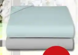 PENNY Home Ideas Living Jersey-Spannbetttuch Angebot