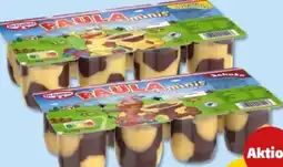 PENNY Dr. Oetker Paula Minis Angebot