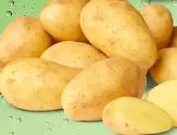 PENNY Marktliebe Speisekartoffeln Angebot