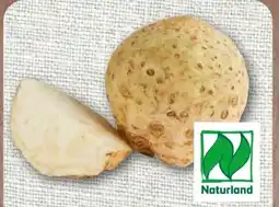 nahkauf Rewe Bio Knollensellerie Angebot