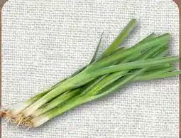 nahkauf Lauchzwiebeln Angebot