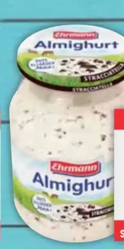 E-Center Ehrmann Almighurt Angebot