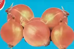 E-Center Gut & Günstig Zwiebeln Angebot