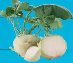 E-Center Kohlrabi Angebot
