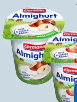 Edeka Xpress Ehrmann Almighurt Angebot
