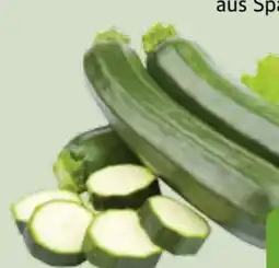 Edeka Xpress Zucchini Angebot