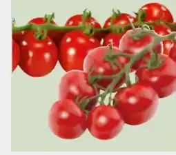 Edeka Xpress Mini-Rispentomaten Angebot