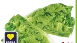 Edeka Edeka Herzstücke Mini Romanasalat Angebot