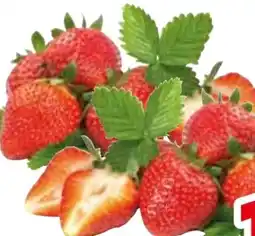 Edeka Erdbeeren Angebot