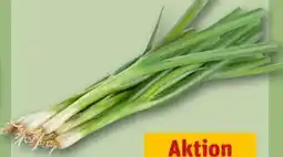 REWE Center Lauchzwiebeln Angebot