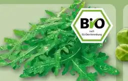 REWE Center Rewe Bio Bio-Rucola Angebot