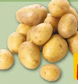REWE Center Rewe Bio Speisekartoffeln Drillinge Angebot