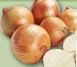 REWE Center Rewe Bio Bio-Speisezwiebeln Angebot