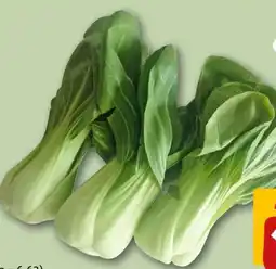 REWE Center Rewe Bio Pakchoi Angebot
