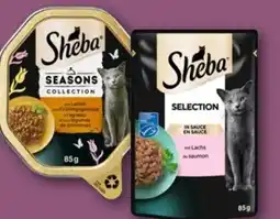 REWE Center Sheba Katzennahrung Angebot