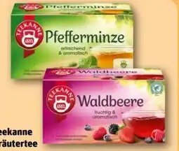 REWE Center Teekanne Kräutertee Pfefferminze Angebot