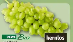REWE Rewe Bio Bio-Tafeltrauben Angebot