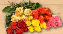 REWE Premium Rose Angebot