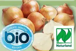 REWE Bio Speisezwiebeln Angebot