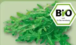 REWE Rewe Bio Bio-Rucola Angebot