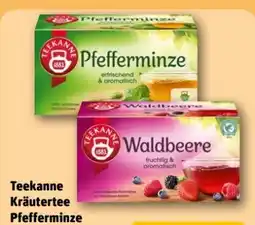 REWE Teekanne Kräutertee Pfefferminze Angebot