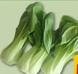 REWE Rewe Bio Pakchoi Angebot