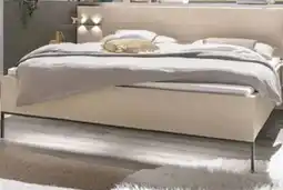 porta Doppelbett Angebot