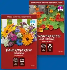 Lidl Feinsämereien Angebot