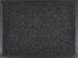 Globus Baumarkt Fußmatte Venus Angebot