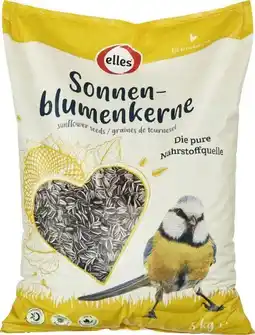 Globus Baumarkt Elles Sonnenblumenkerne Angebot