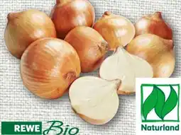 nahkauf Rewe Bio Bio-Speisezwiebeln Angebot