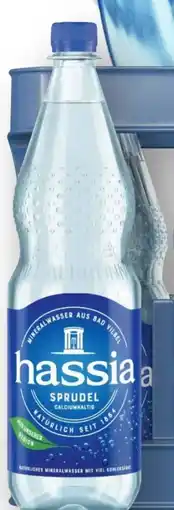 Edeka Hassia Mineralwasser Angebot