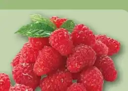 REWE Center Himbeeren Angebot