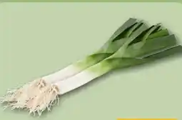 REWE Center Rewe Bio Porree Angebot