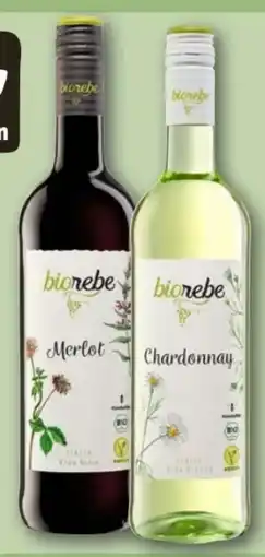 REWE Center Biorebe Merlot Vegan Angebot