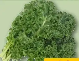 REWE Center Grünkohl Angebot