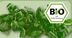 REWE Rewe Bio Feldsalat Angebot
