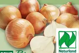 REWE Rewe Bio Bio-Speisezwiebeln Angebot