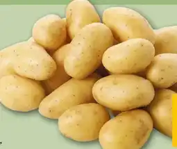 REWE Rewe Beste Wahl Speisekartoffeln Die Feinen Angebot