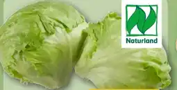 REWE Rewe Bio Bio-Eisbergsalat Angebot
