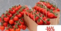 Edeka Cherry Rispentomaten Honigschätze Angebot