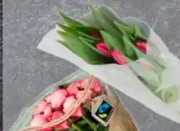 Edeka Frischemarkt Tulpen Angebot